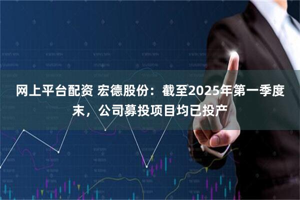 网上平台配资 宏德股份：截至2025年第一季度末，公司募投项目均已投产