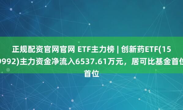 正规配资官网官网 ETF主力榜 | 创新药ETF(159992)主力资金净流入6537.61万元，居可比基金首位