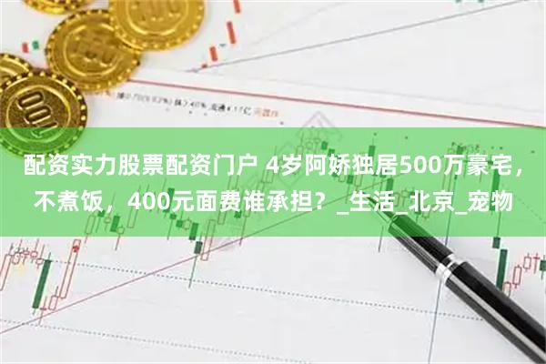 配资实力股票配资门户 4岁阿娇独居500万豪宅，不煮饭，400元面费谁承担？_生活_北京_宠物