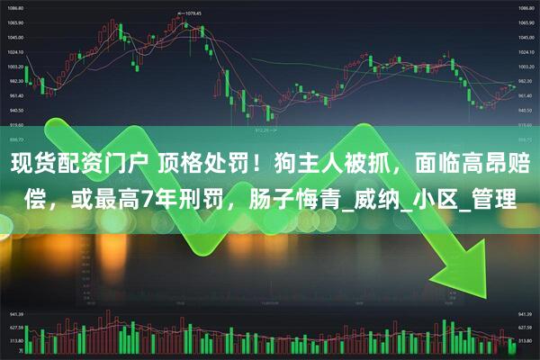 现货配资门户 顶格处罚！狗主人被抓，面临高昂赔偿，或最高7年刑罚，肠子悔青_威纳_小区_管理